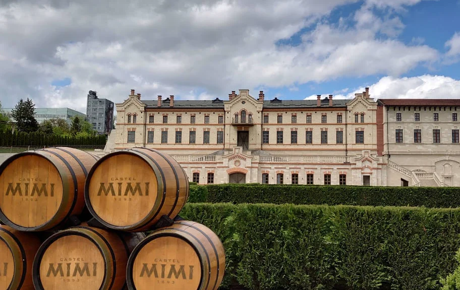 Castelul Mimi